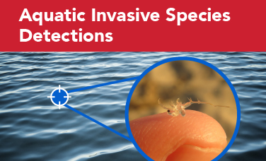 Aquatic Invasive Species Detection