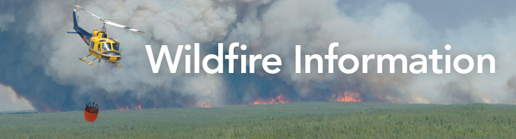 Wildfire Information